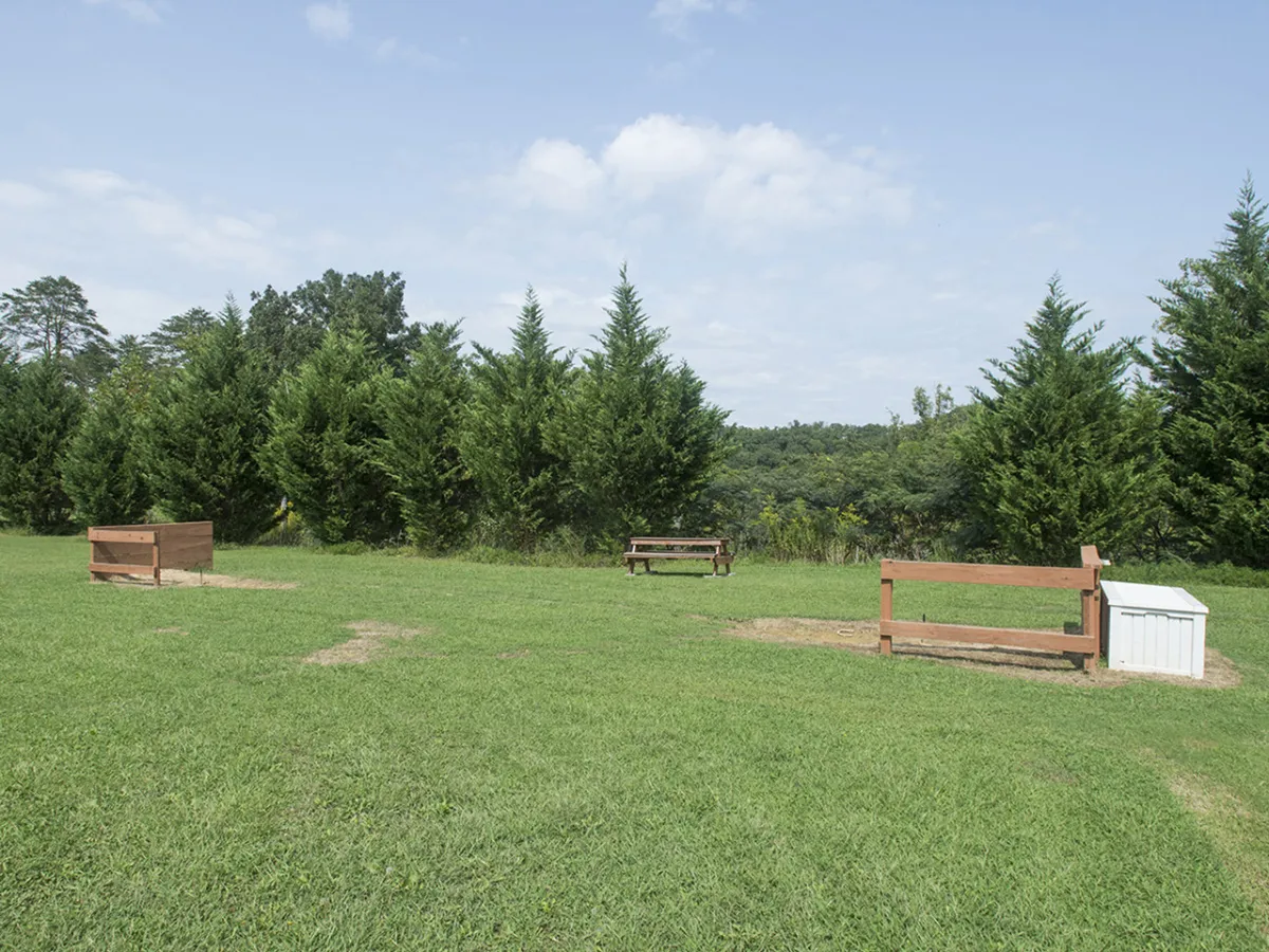 Benches are scattered across a green lawn bordered by trees and rolling hills in the background. The setting is peaceful, ideal for nature walks, relaxing, or birdwatching, capturing the resort's scenic grounds.